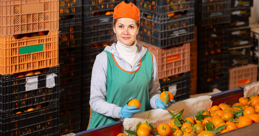 Comment choisir les meilleures chaussures pour travailler dans l’agroalimentaire ?
