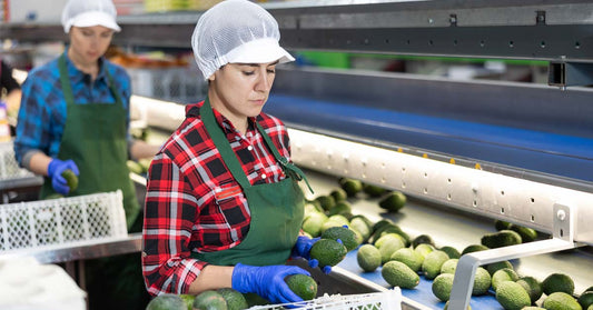 Normativa de vestuario en la industria alimentaria: pautas clave