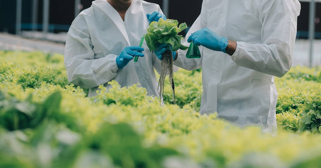 Les tendances de la production durable pour l’industrie agroalimentaire