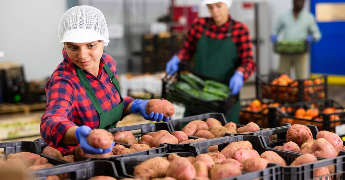 Los zapatos de seguridad más cómodos y ligeros para la industria alimentaria de Shoes For Crews