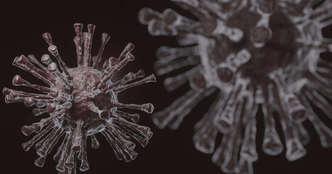 Blood-Borne Pathogens: Die unsichtbare Gefahr im Einsatz für Polizei, Rettungsdienst und medizinisches Personal