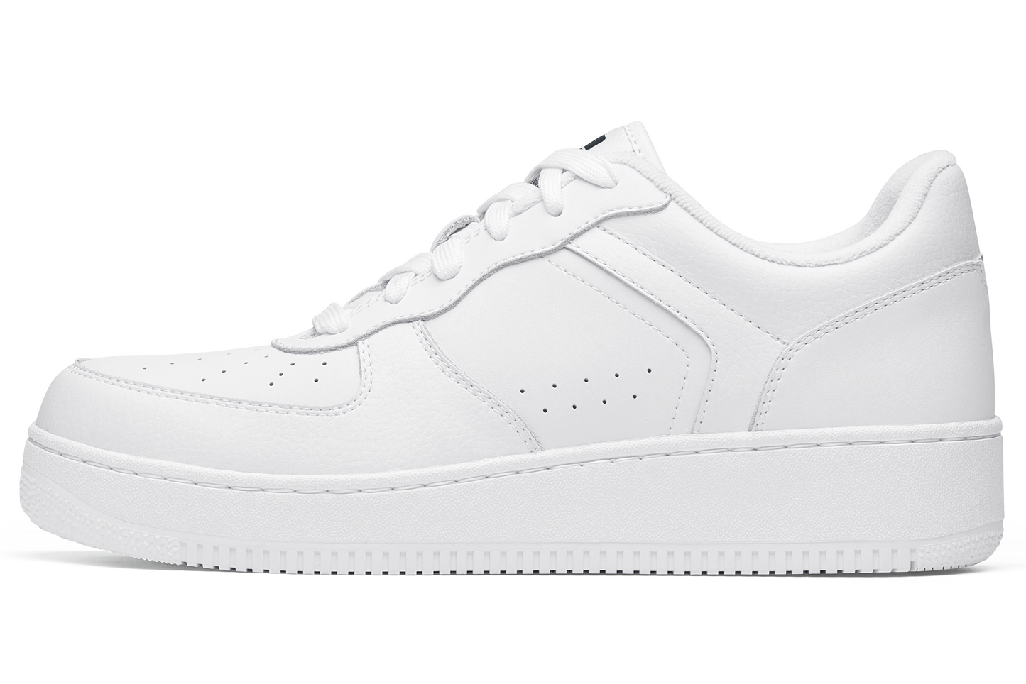 HOLCOMBE WHITE