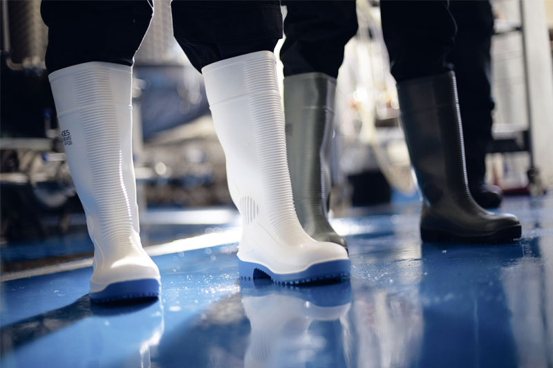 Best safety shoe for the food production sector